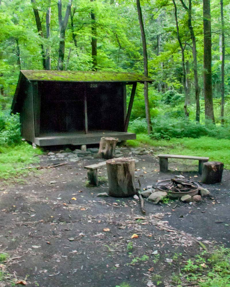 Adirondack Shelter in the woods